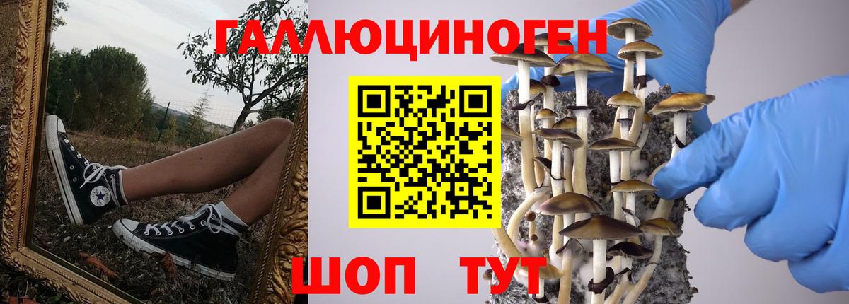 Галлюциногенные грибы ЛСД Муром